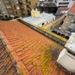 Limpeza de Telhados: Evite Danos e Prolongue a Vida Útil do Seu Imóvel